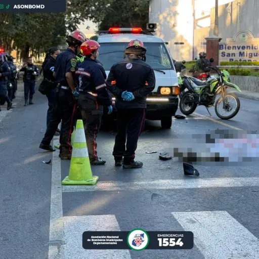 . ,Bomberos Municipales Departamentales