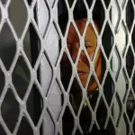 Ex vicepresidente de 48 Cantones: Aquí estoy; a enfrentar lo que tengamos que enfrentart