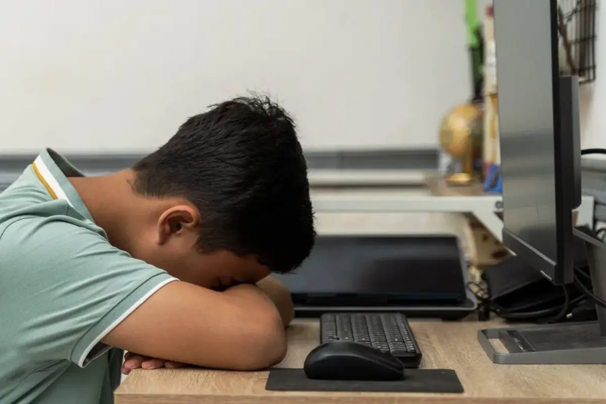 Regreso a clases, Regreso a clases