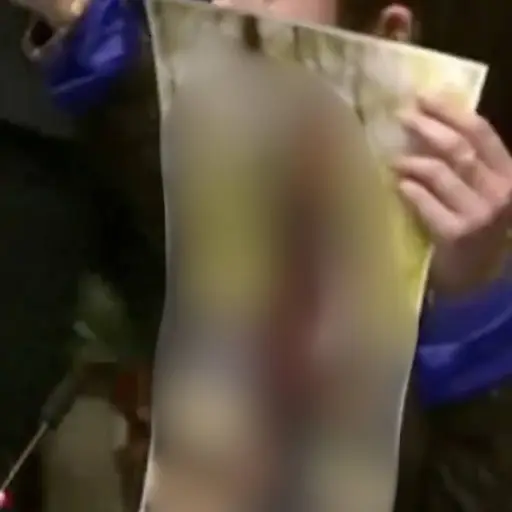 Diputada muestra cómo IA puede crear imágenes sexuales sin consentimiento. ,Captura de pantalla video de X.