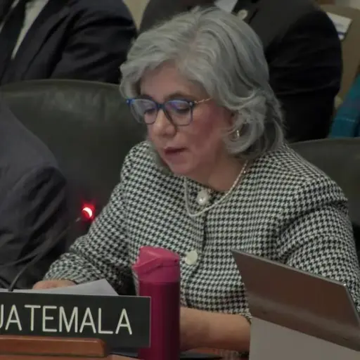 La embajadora de Guatemala en la OEA, Claudia Escobar, durante la sesión para abordar la situación en Venezuela, el martes 6 de enero de 2026. ,OEA