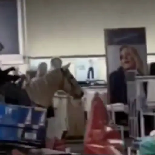 Video viral muestra a influencer entrando a caballo a un centro comercial. ,Redes sociales.