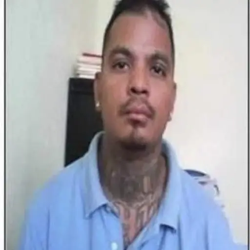 Hallan muerto a Psyco. ,PNC