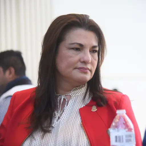 Patricia Gámez, presidenta de la junta directiva del Colegio de Abogados y Notarios de Guatemala (CANG). ,Omar Solís/Emisoras Unidas