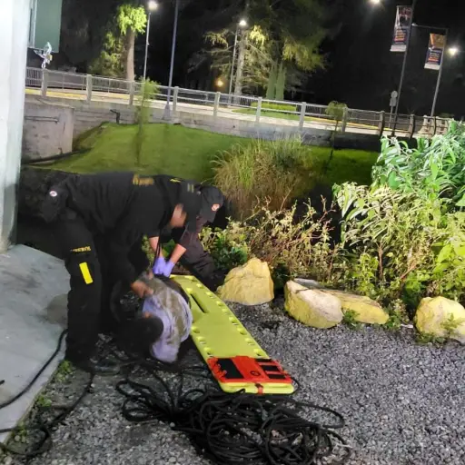 La persona encontrada en alrededores del río Cahabón no pudo ser identificada. ,Bomberos Voluntarios