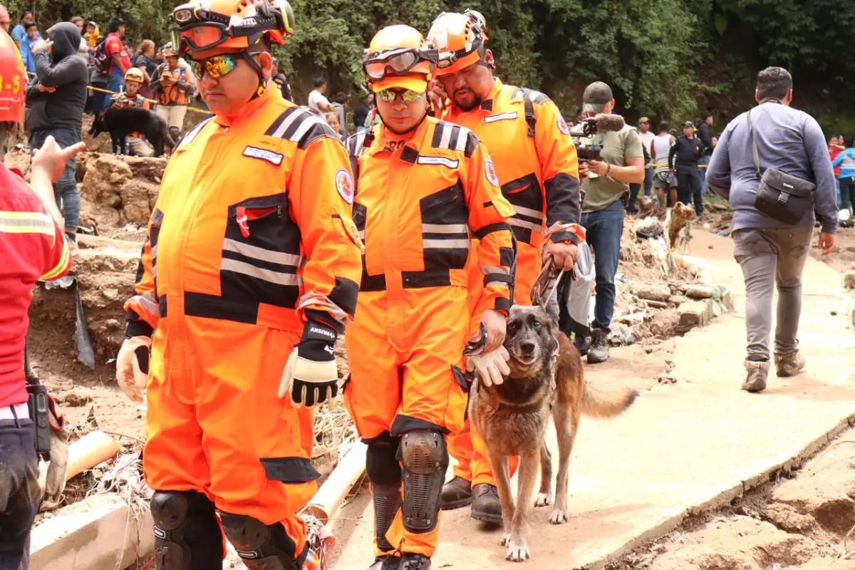 Roger", ejemplar canino de rescate de Bomberos Voluntarios., CVB
