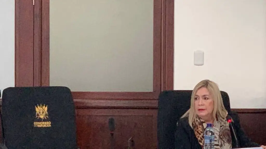 La abogada Karen Fischer. ,archivo: EU