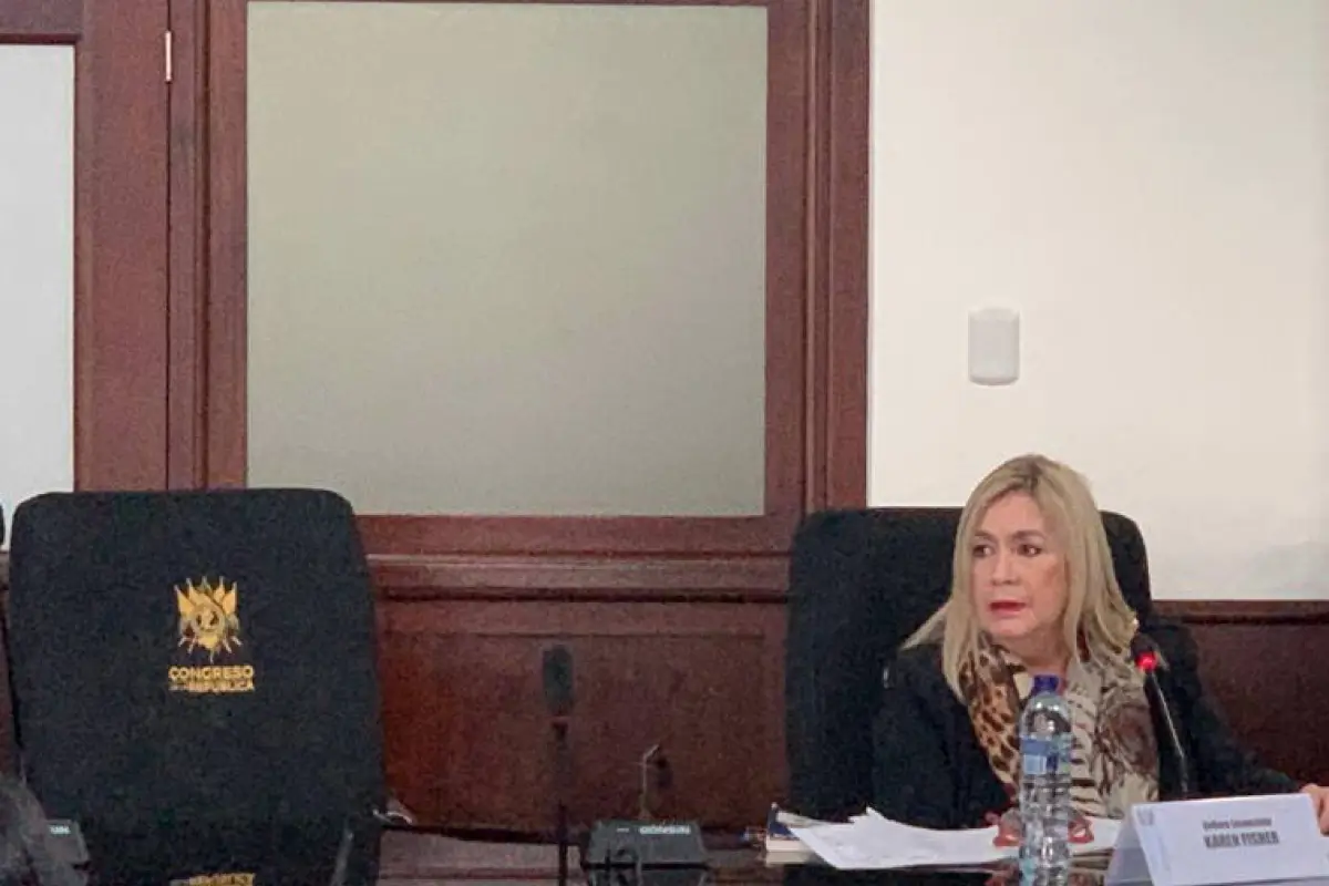 La abogada Karen Fischer., archivo: EU