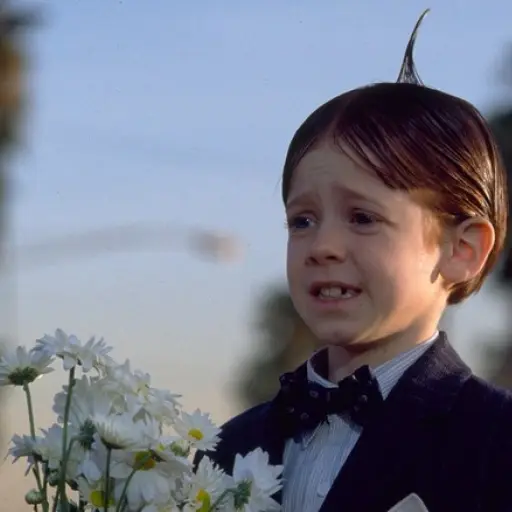 Alfalfa Bug Hall ,Instagram