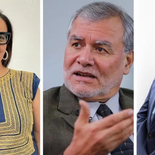 Integrantes del Panel de Personas Expertas Independientes (PEI-GT) que visitarán Guatemala en febrero de 2026 para dar seguimiento a elecciones de segundo grado. ,PEI