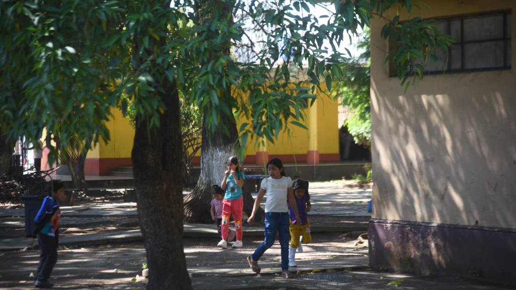 Ciclo Escolar | Foto Omar Solís