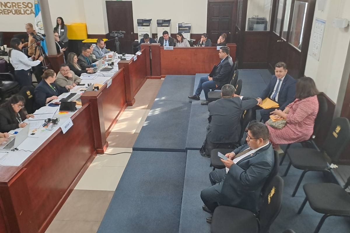 La OEA expresa su "preocupación" por elección de magistrados del TSE