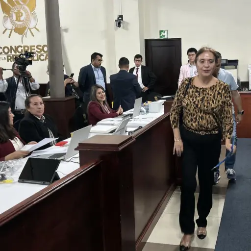 Ingrid Lisseth Soto Carcuz, de pie, fue la primera profesional que llevó su expediente a la mesa de recepción. ,Alex Meoño 