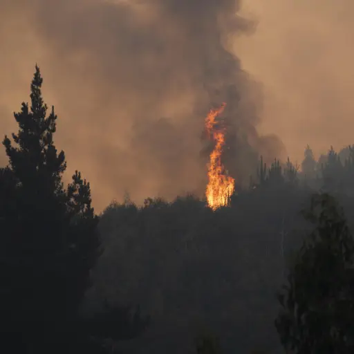 Megaincendios en Chile ,EFE