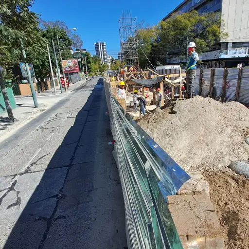  El Ministerio de Ambiente avaló el proyecto tras un compromiso de un plan de compensación de 2 mil 500 nuevos árboles.  ,Foto Omar Solís