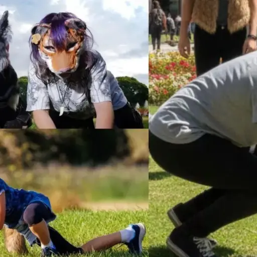 Therian ,Redes sociales