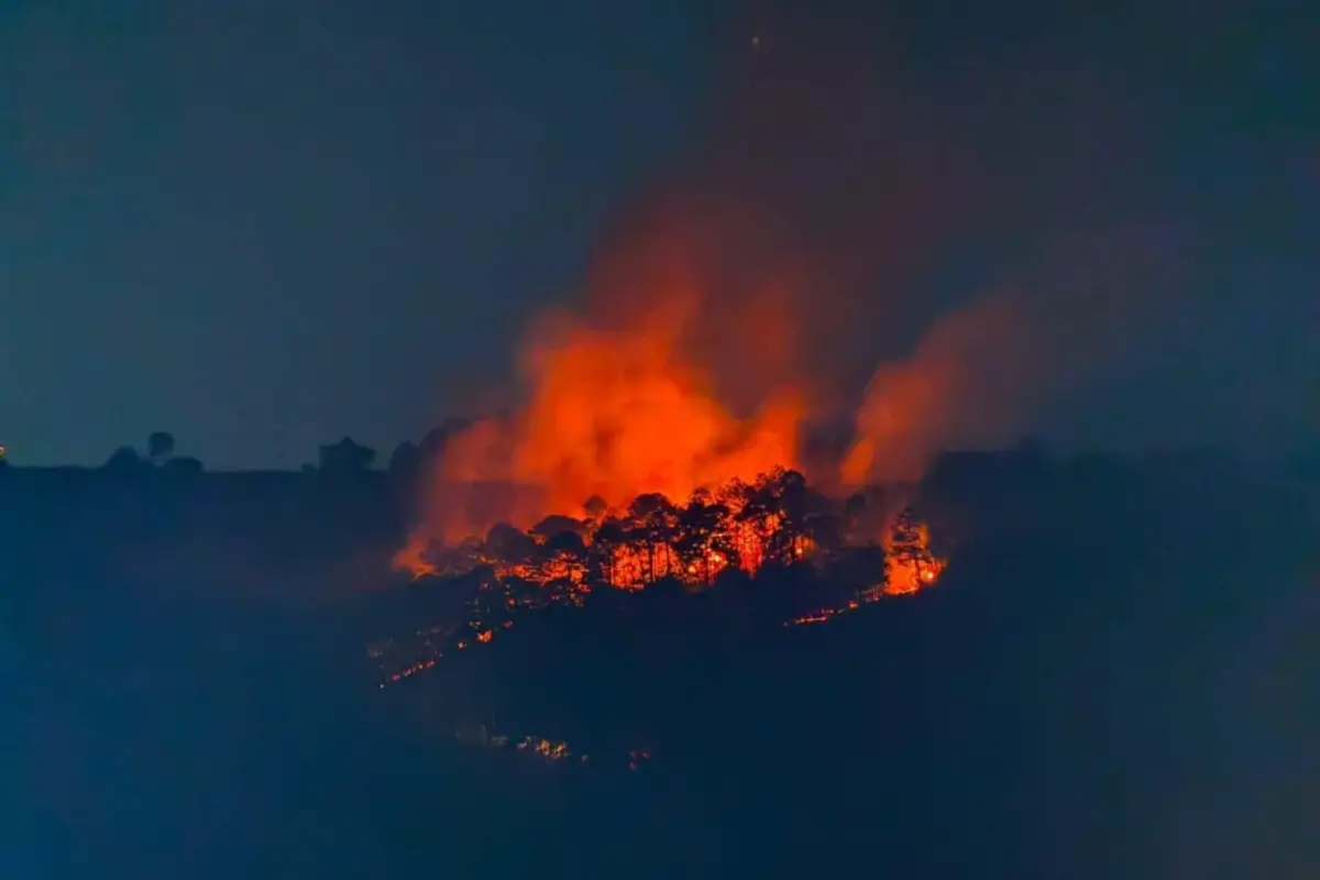 Los cuerpos de rescate informaron que el incendio se inició el pasado sábado., Bomberos Municipales Departamentales. 