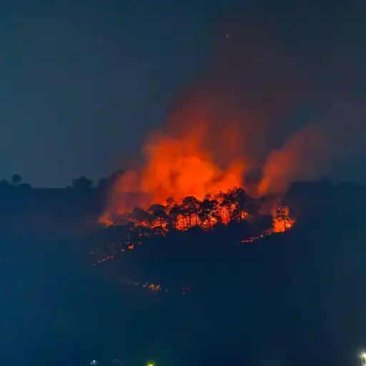 Los cuerpos de rescate informaron que el incendio se inició el pasado sábado. ,Bomberos Municipales Departamentales. 
