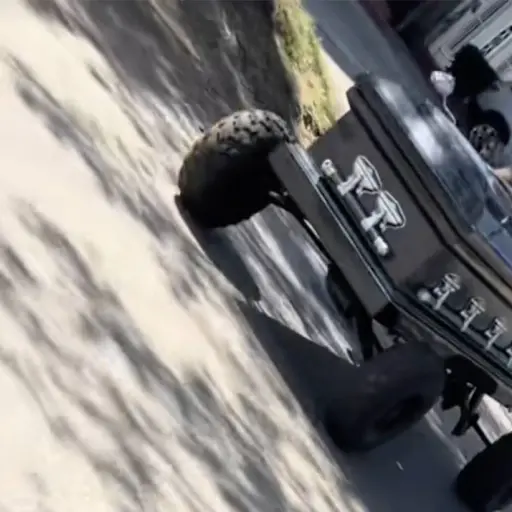 Captan a conductor en vehículo con forma de ataúd.  ,Captura de pantalla video de TikTok.