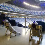 Dos perros robot en el estadio donde se jugó el Monterrey vs. Xelajú 
