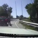 Conductor acelera y atropella a sujetos que intentaron robarle su auto (VIDEO)t