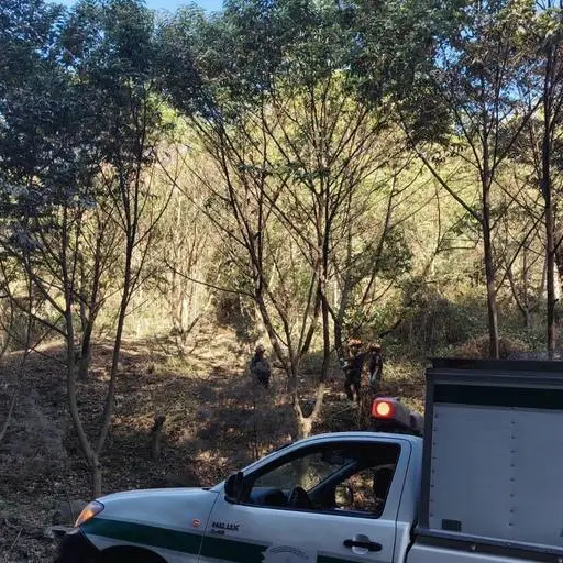 . ,Bomberos Municipales Departamentales