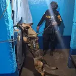 Localizan armas y municiones en El Boquerónt