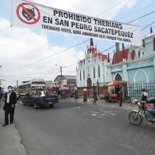 Therians ,Redes sociales