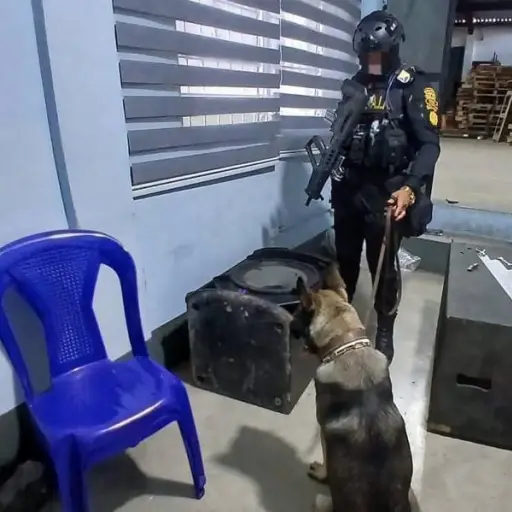 Elementos de la PNC, con apoyo de agentes caninos, detectaron la droga que estaba escondida en las bocinas. ,PNC