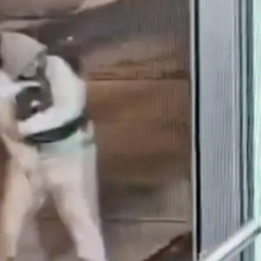 Violento acto de vandalismo contra el Transmetro. ,Captura de pantalla video de X.