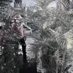 Localizan hombre fallecido en la Calzada Aguilar Batrest