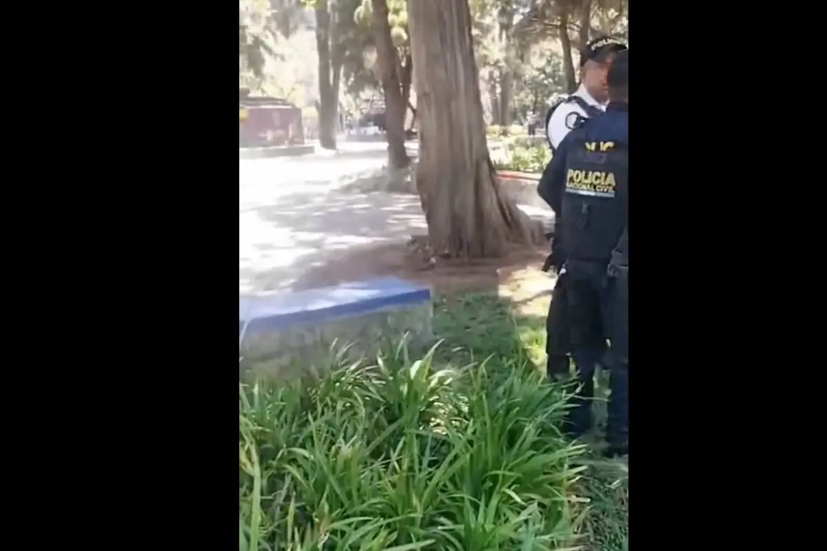 El cráneo fue localizado en las jardineras. , Captura de pantalla