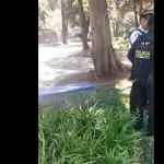 Localizan cráneo humano en avenida Las Américas t