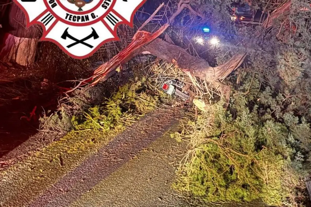 ., Bomberos Municipales Departamentales