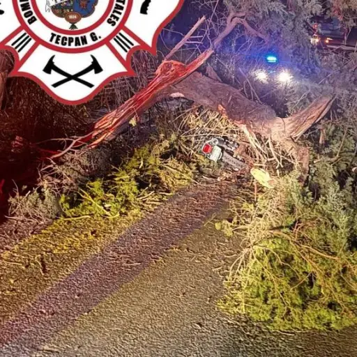 . ,Bomberos Municipales Departamentales