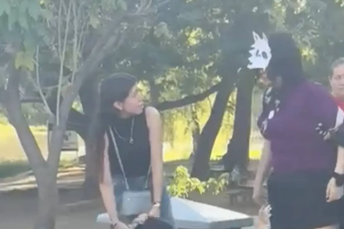 Polémica en redes joven therian arremete contra persona que la grababa., Captura de pantalla video de TikTok.