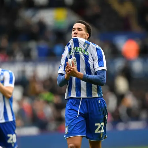 Sheffield Wednesday desciende a tercera división inglesa - Sheffield Wednesday