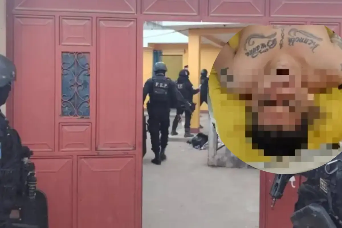 Reo recapturado en Quetzaltenango, 