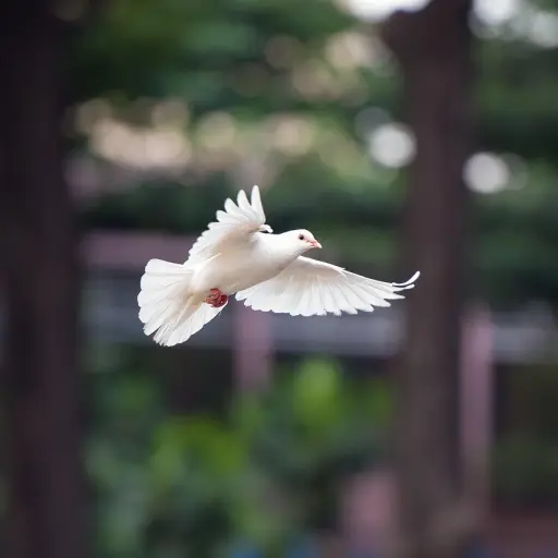 Imagen con fines ilustrativos.  ,Pixabay