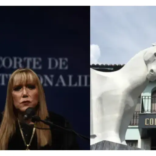 Dina Ochoa fue electa como magistrada titular de la Corte de Constitucionalidad por la CSJ. ,