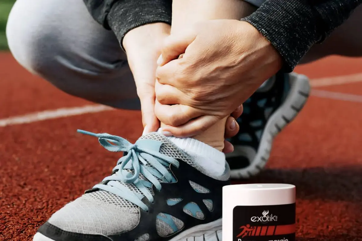 Músculos, Músculos