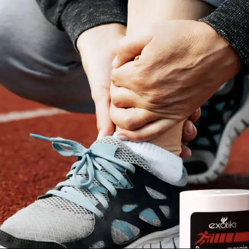 Músculos ,Músculos