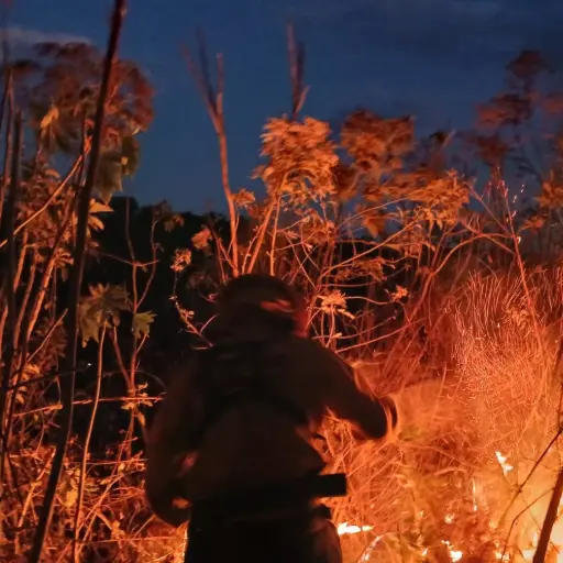 El incendio más reciente fue reportado en Villa Canales por Conred. ,Conred.
