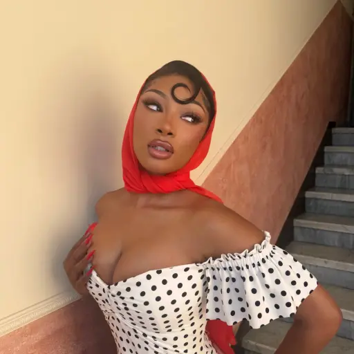 Megan Thee Stallion premios oscar 2026 ,Instagram