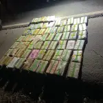 Decomisan 65 paquetes con cocaína en Izabalt
