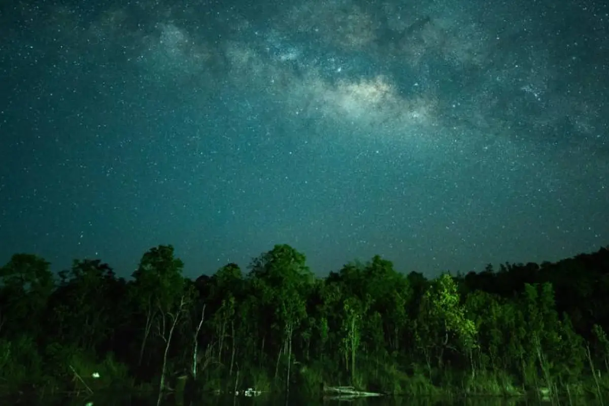 La Hora del Planeta 2026, WWF