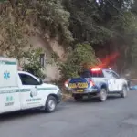 Abandonan dos cuerpos a orillas de la carretera en Palenciat