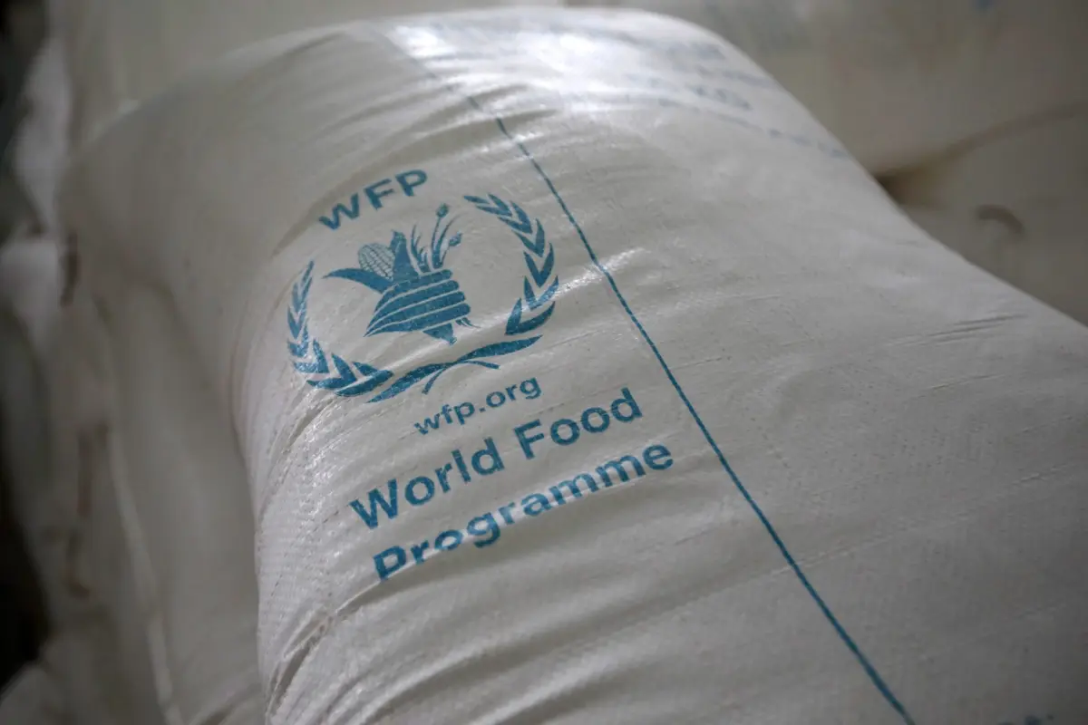 Programa Mundial de Alimentos - PMA -., Ilustrativa de archivo: EFE