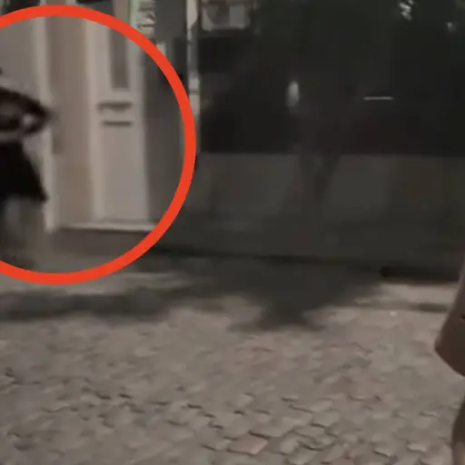 Trampa por venta de iPhone. ,Captura de pantalla video de Instagram.