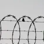 Prisión, cárcel ,Imagen con fines ilustrativos | pixabay